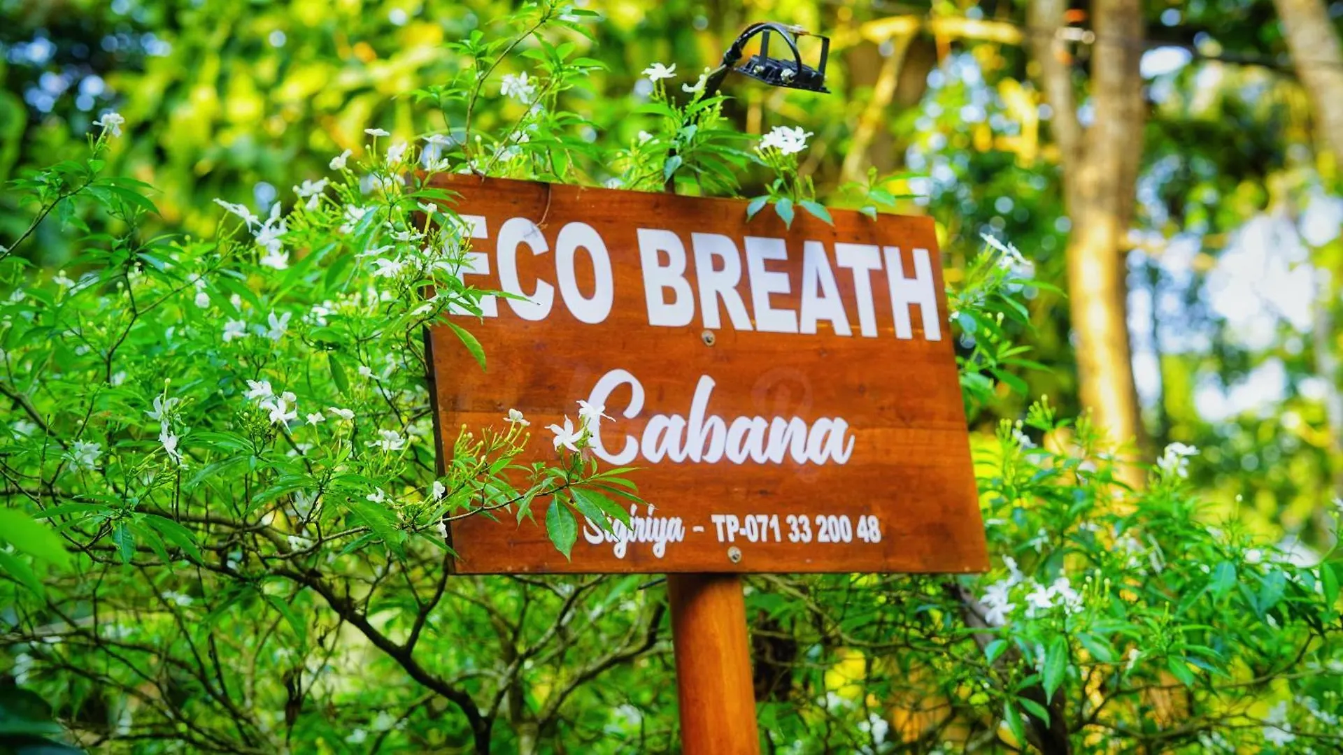 Eco Breath Cabana Sigiriya Sri Lanka