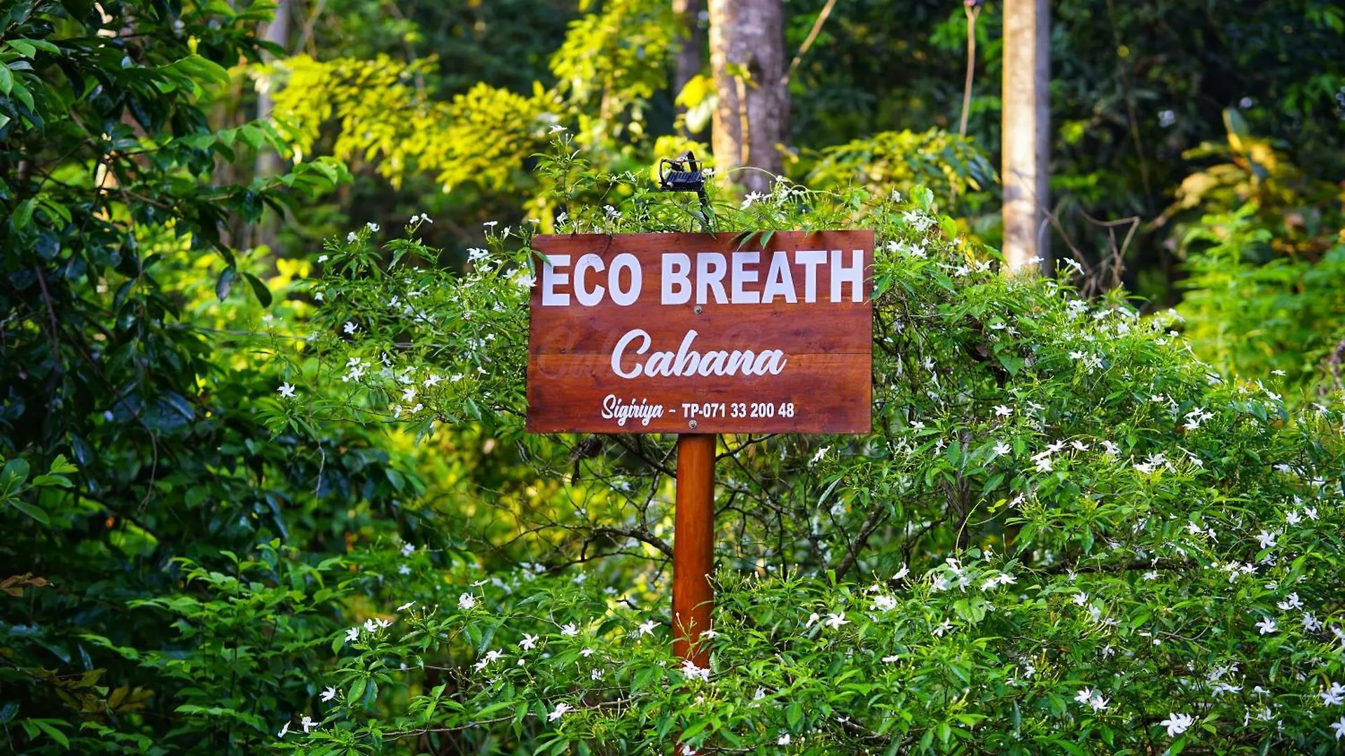 Eco Breath Cabana Sigiriya 0*,  Sri Lanka