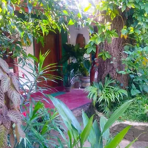 Gangula Eco Alloggio in famiglia